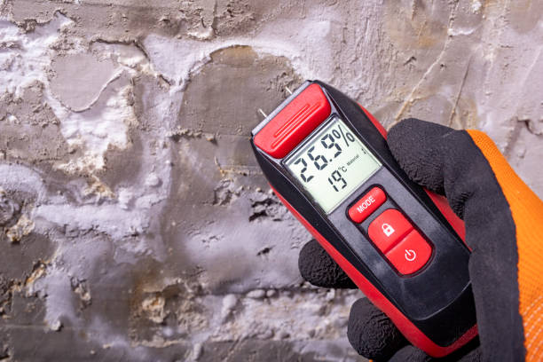 Best Fast Mold Removal  in Sierra Madre, CA