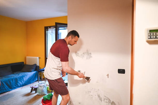 Best Residential Mold Removal  in Sierra Madre, CA